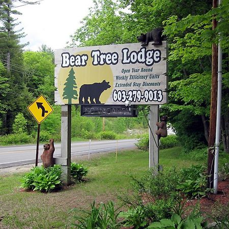 Bear Tree Lodge Weirs Beach Bagian luar foto