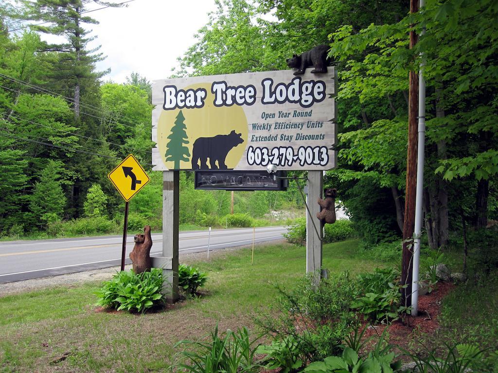 Bear Tree Lodge Weirs Beach Bagian luar foto